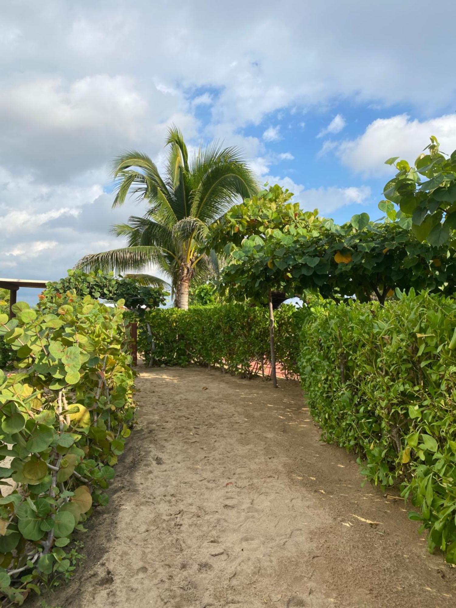 El Origen Villas & Spa-Puerto Escondido 푸에르토 에스콘디도 외부 사진