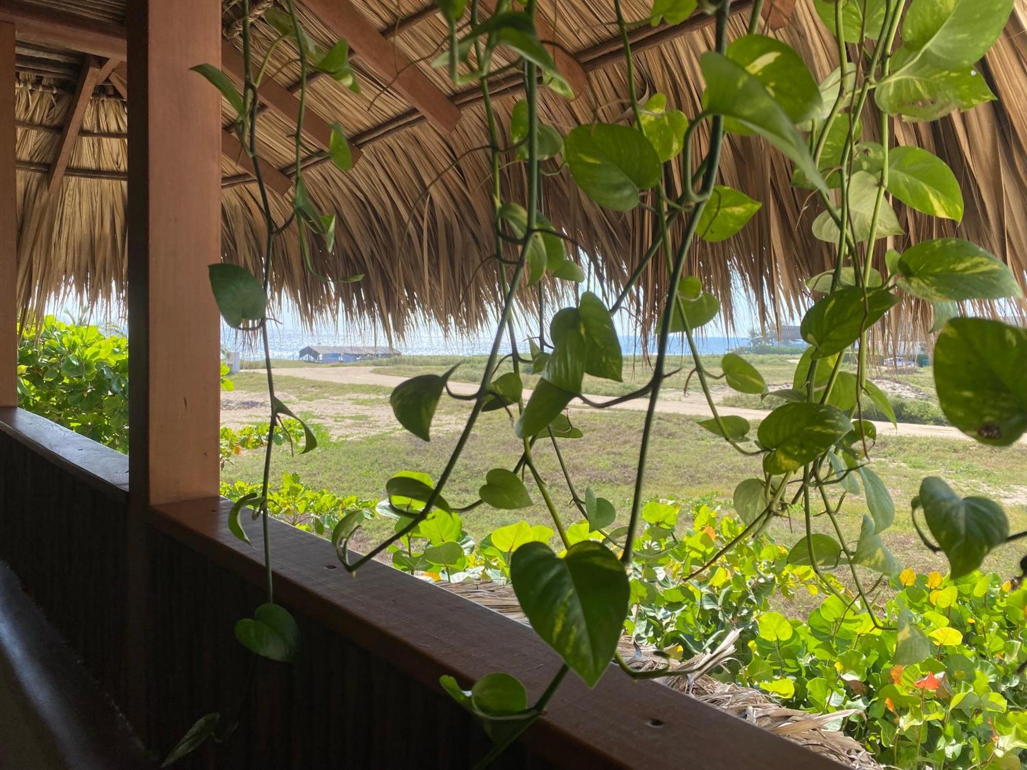 El Origen Villas & Spa-Puerto Escondido 푸에르토 에스콘디도 외부 사진