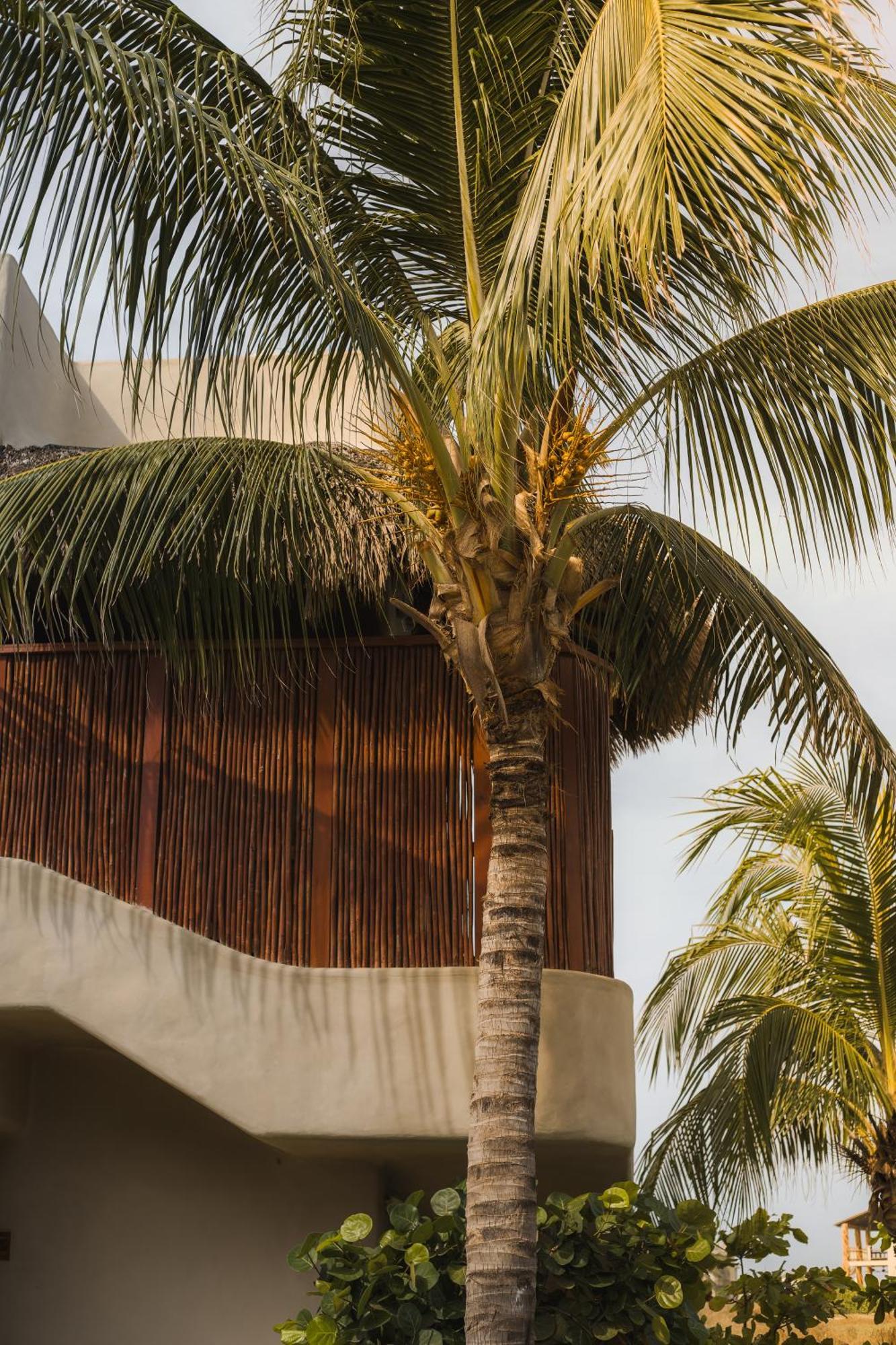 El Origen Villas & Spa-Puerto Escondido 푸에르토 에스콘디도 외부 사진