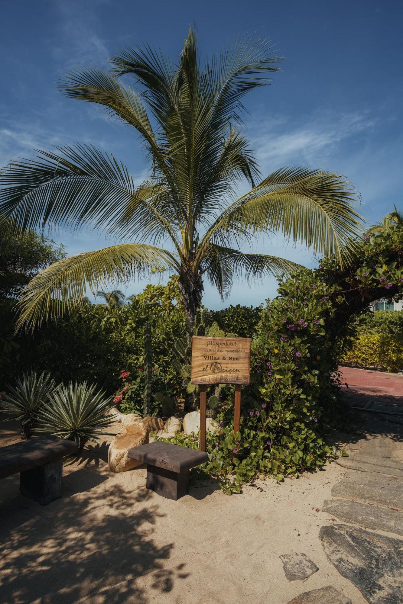 El Origen Villas & Spa-Puerto Escondido 푸에르토 에스콘디도 외부 사진